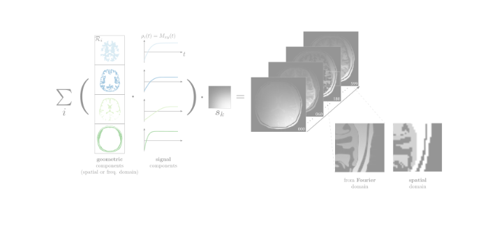 Simulated Brain Geometry